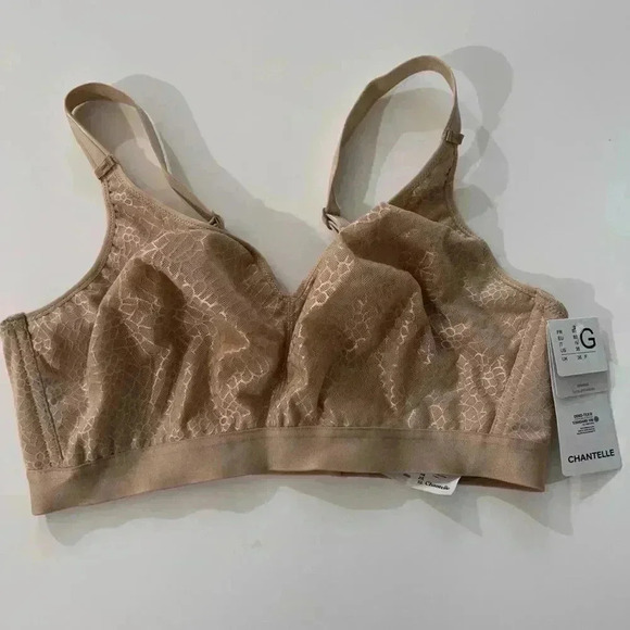 NWT Chantelle C Magnifique Wirefree Bra -  36G - Picture 4 of 6